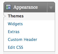 WordPress appearance