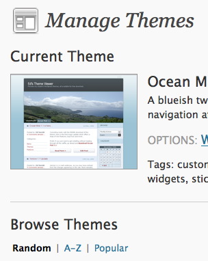 WordPress manage themes